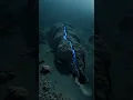 Download Lagu This AI Found Something Alive in the Deep Sea.. #AI #DeepSea #Horror #Shorts #horror  #scary #phobia