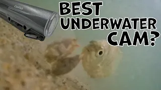 Surf Fishing UNDERWATER footage CanFish CamX Review