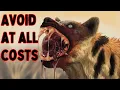 Lagu Hyenas: What They Do When No One’s Watching… Will Shock You!