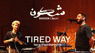                                                      دندنها