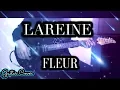 LAREINE ラレーヌ FLEUR (Cover Guitar) 1080p