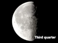 Mr Lee - Phases of the Moon rap