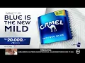 Download Lagu 223) Camel Indonesia Original Mild - Grafiti (2023/2023)