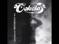 Download Lagu cokelat - tanah air