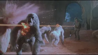 congo 1995 battle with the gorillas