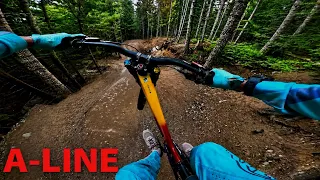 THE PLANETS BEST JUMPLINE