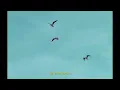 Vertiges - L'envers du décor (CLIP OFFICIEL)