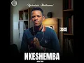 Download Lagu Amathuba omsebenzi engekho by ( Nkeshemba) 