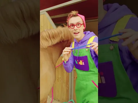 Kidi shows what a horse's Mane Comb is | Kidbli