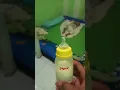 Download Lagu Minum susu dot sebelum tidur #shorts #feed #videoshort #fyp #viral