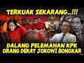 Lagu GEGERR🔥JOKOWI VS DPR! SIAPA SEBENARNYA DI BALIK PELEMAHAN KPK?