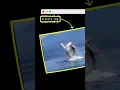 How to find files hidden in pictures