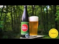 Pliny The Elder 8 Russian River Brewing Beer Review