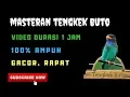 Download Lagu Video Masteran Tengkek Buto Speed Rapat Durasi Panjang 1 Jam Nonstop