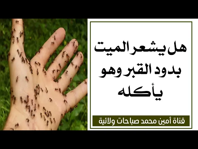 هل يشعر الميت بدود القبر وهو يأكله