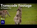 Transcoding Bulk Footage clips in Adobe Premiere Pro and Media Encoder