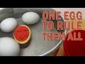 This Egg boiling Gadget is Crazy