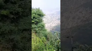 قبل منا كان هنا مثلي ومثلك عاشقين   ذوبو الأشواق ماخلو لنا غير الأنين دندنها