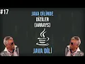 Java Dilinde Diziler Arrays Sifirdan Java Programlama