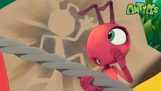 Straßensperre | Antiks - Lustige Cartoons für Kinder | Moonbug Kids Deutsch