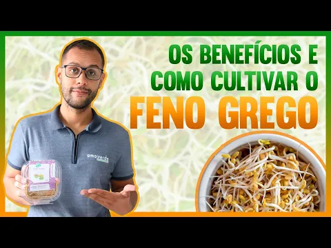 Download MP3 FENO GREGO | BENEFÍCIOS PARA: AMAMENTAÇÃO,MASSA MUSCULAR, CABELOS FORTES E CONTROLE DA DIABETE