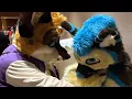 The headlock wasn t enough he wanted more Anthro New England 2026 Furcon Recap