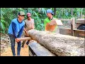 Download Lagu KETERAMPILAN DAN TENAGA !! Gergaji kayu jati \u0026mahoni - mesin serkel rakitan