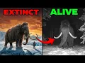 10 Extinct Animals That Might Still Be Alive