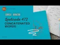 Concatenated Words - Leetcode 472
