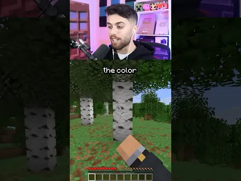 minecraft but i cant touch gray