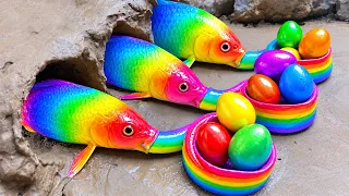 Menangkap Ikan Pearl, Ikan Lele, Ikan Koi, Ikan Mas, dan Ular Sanca Raksasa