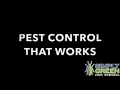 Scorpion Control Gilbert AZ