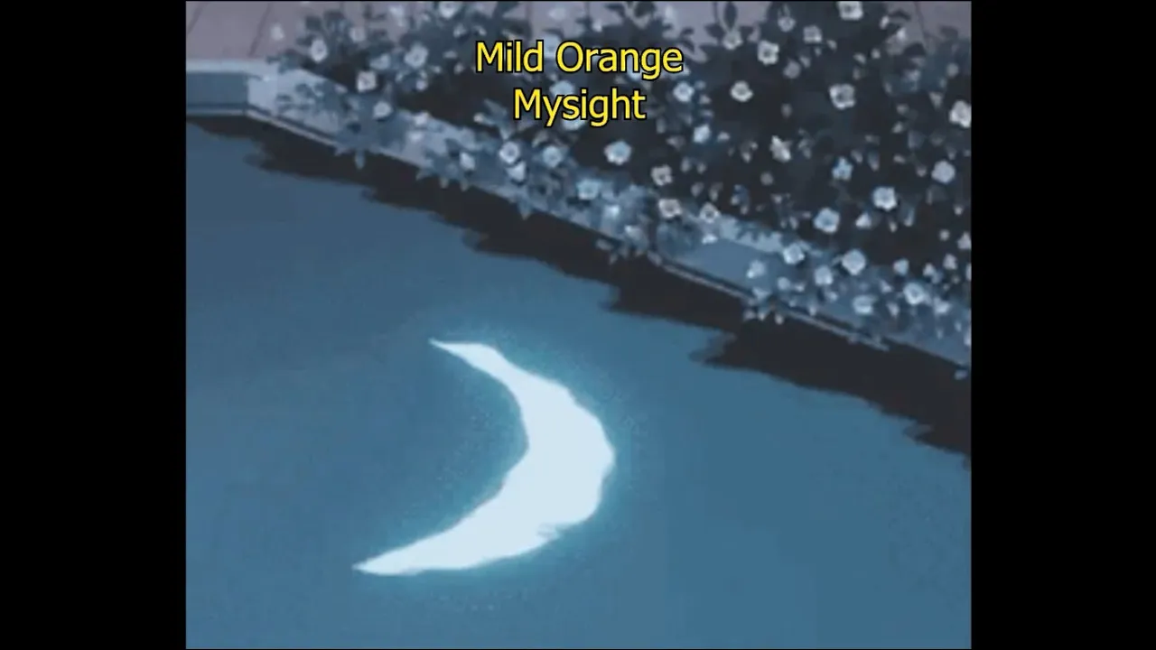 Mild Orange - Mysight (legendado)
