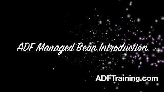 ADF Managed Bean Introduction by www cholanacademy com