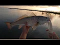 Aransas Pass Charter Scouting Trip Trout Limit A Few Redfish Texas