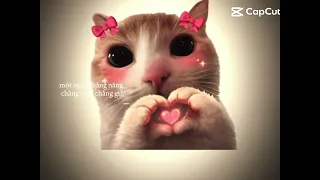 Iu cat
