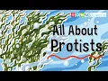 All About Protists