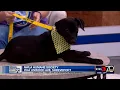 Paws to Care Human Society