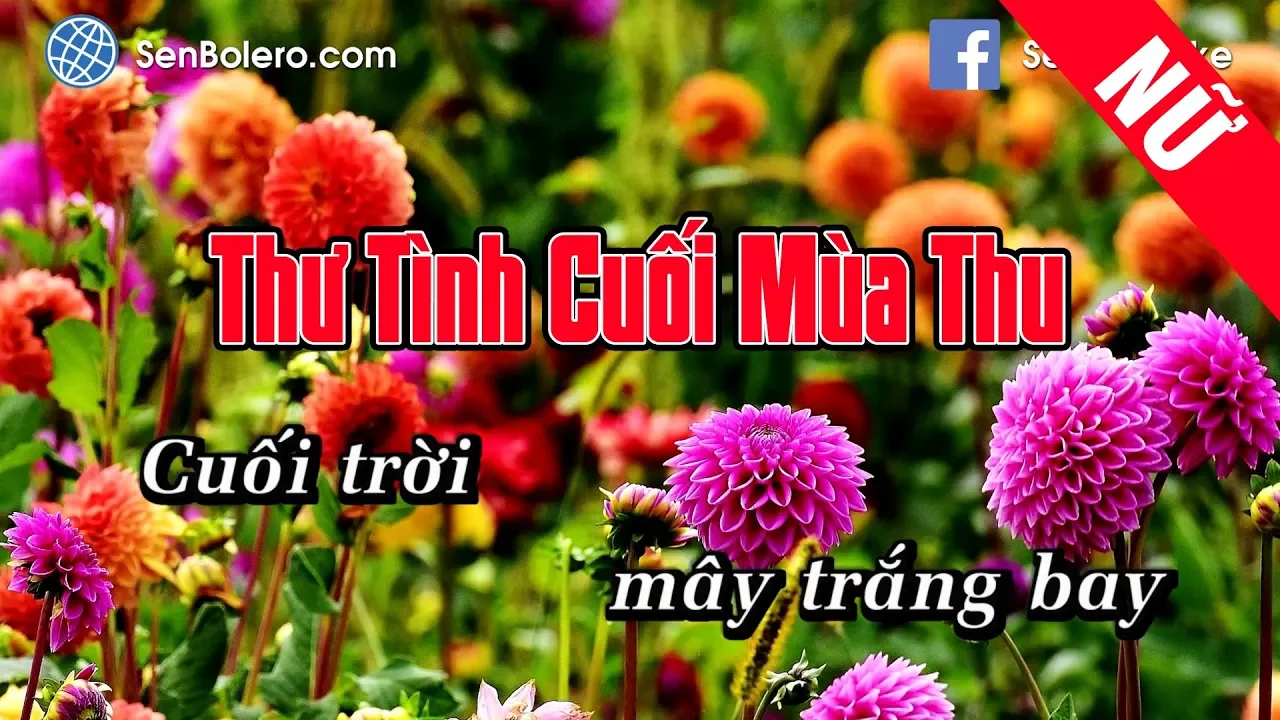[KARAOKE] Thư Tình Cuối Mùa Thu - Nhạc Sống Tone Nữ