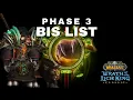Feral Druid DPS BiS List Phase 3