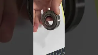                            دندنها