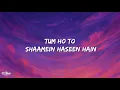 Vishal Mishra, Hansika Pareek - Tum Ho Toh (Lyrics)| Tum Ho Toh Sab Achha Hai