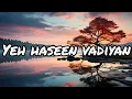 Download Lagu Yeh haseen vadiyan | lyrics | lofi |