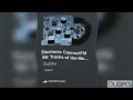 Electronic ConnectFM 69[2025/2026]: Tracks of the Month