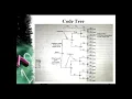 Convolutional Code - part 2