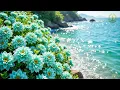 No Ads Music therapy for healing and relaxation Soothes the nervous system and refreshes the soul