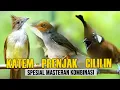 KAPAS TEMBAK - CILILIN - PRENJAK