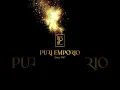 Download Lagu New Logo intro video #puriemporio #rebranding #logo