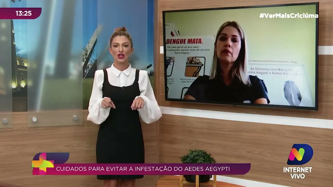 Santa Catarina já registra mais de 500 casos de dengue em 2022