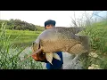 Download Lagu Mancing Ikan Nila Babon Liar Terbanyak